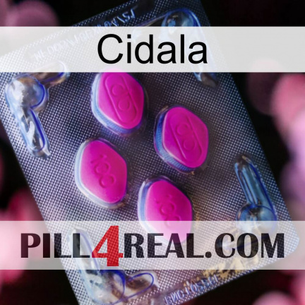 Cidala 02
